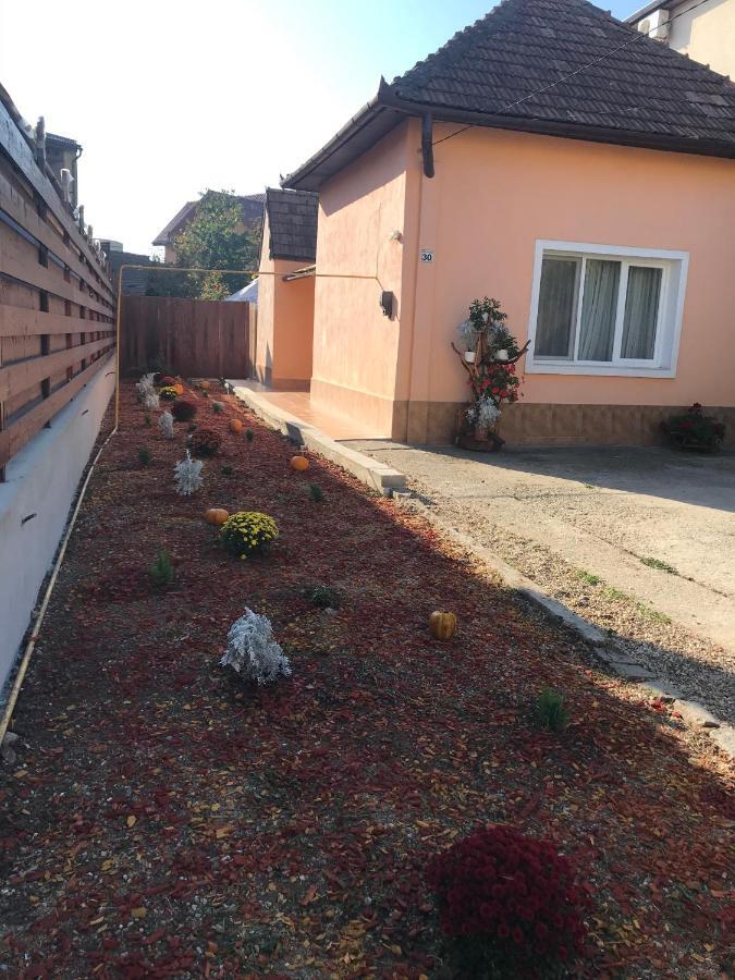 Permissive Cluj-Napoca Exterior foto